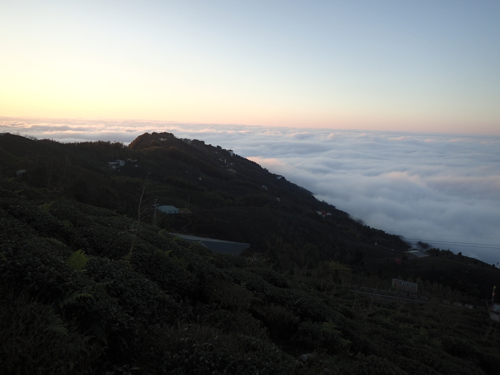 P1076428.JPG - 鹿谷  大崙山  觀霧亭之  暮光