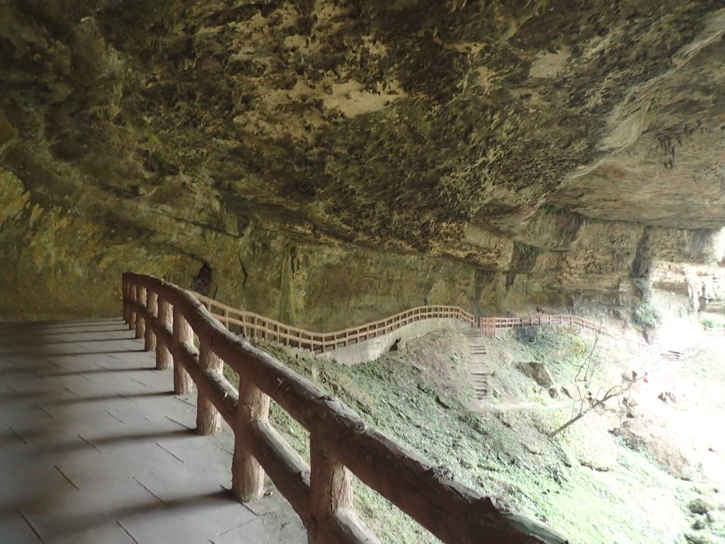 P2056656.JPG - 竹山  杉林溪森林遊樂園  路過