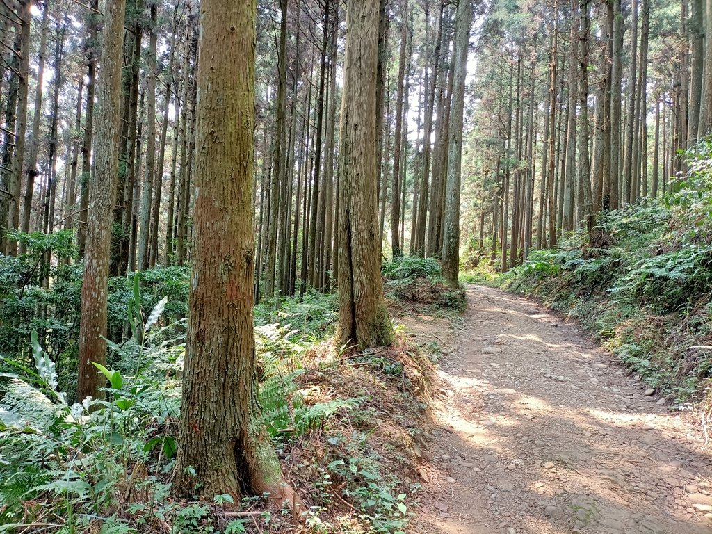 IMG20210403113419.jpg - 五峰  鵝公髻山登山步道  (02)