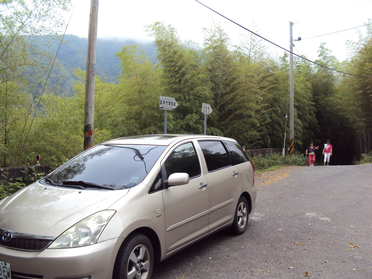 DSC08051.JPG - 竹山  大諳  孟宗竹蔭隧道