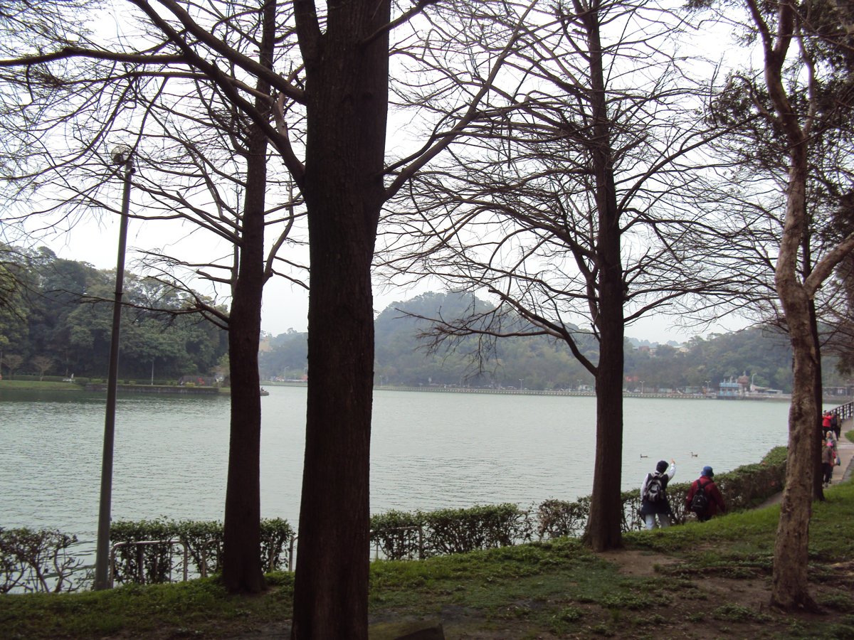 DSC04644.JPG - 內湖  碧湖環湖步道