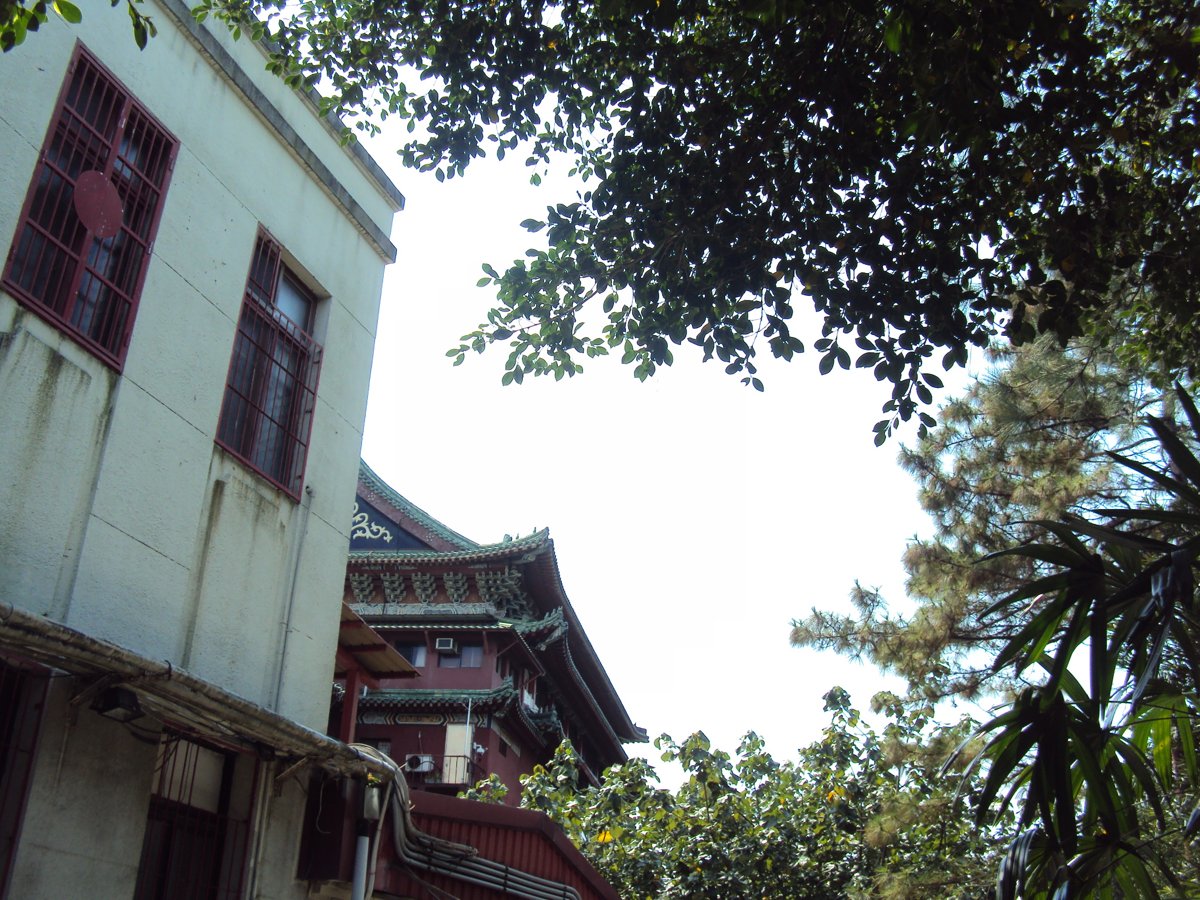 DSC08691.JPG - 再訪  歷史博物館