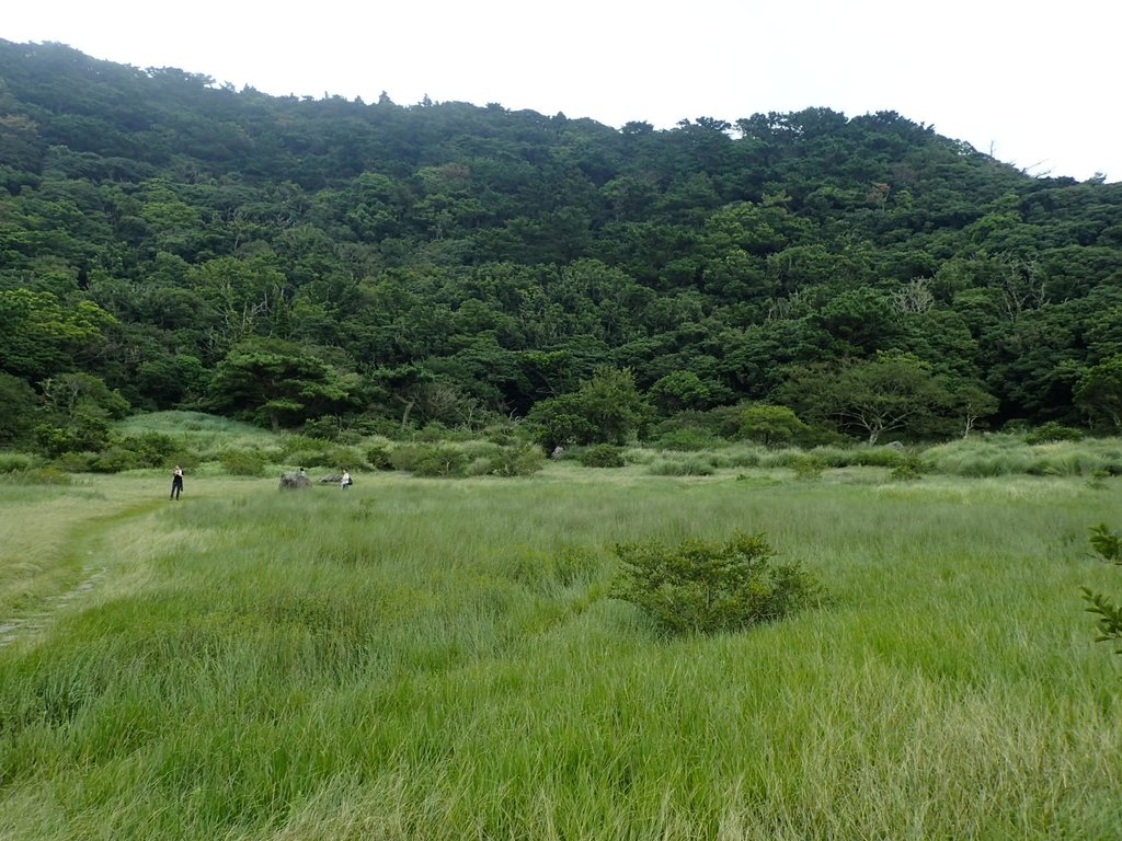 P9238228.JPG - 北投  面天山  向天湖步道