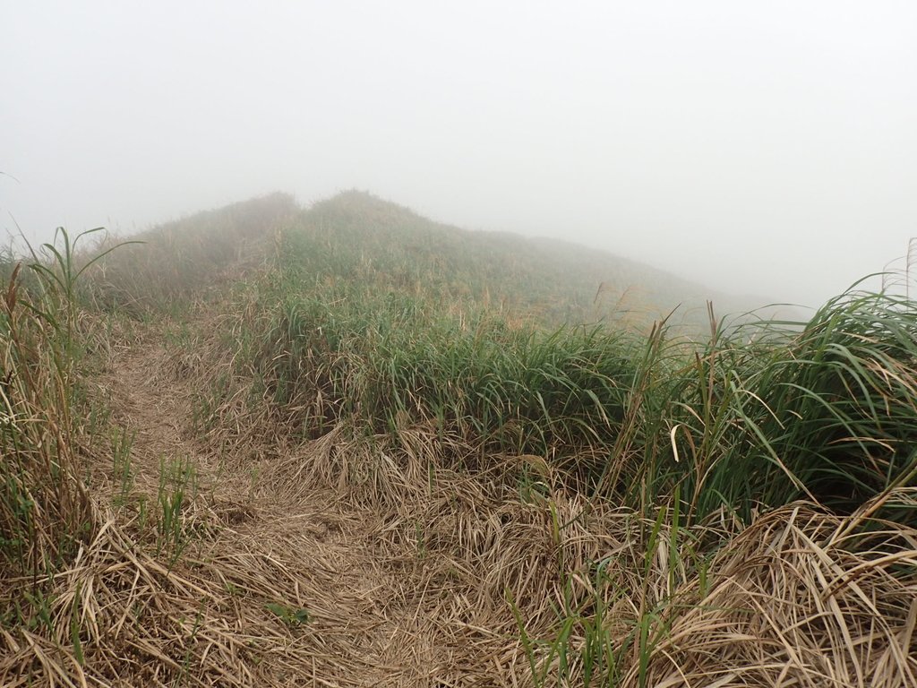 P1203498.JPG - 瑞芳  牡丹山