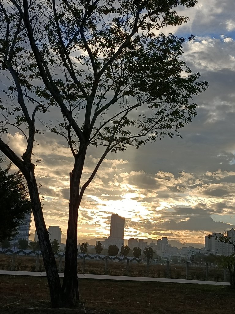IMG20201227070319.jpg - 台中  水湳  中央公園晨光