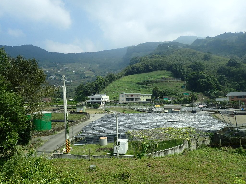 PA064497.JPG - 大湖  馬那邦山  (03)