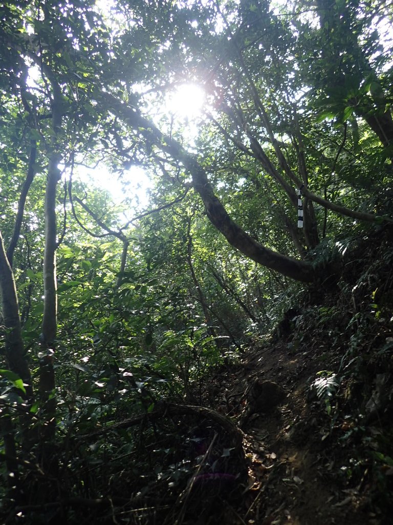 PB179513.JPG - 基隆  球子山(火號山)步道