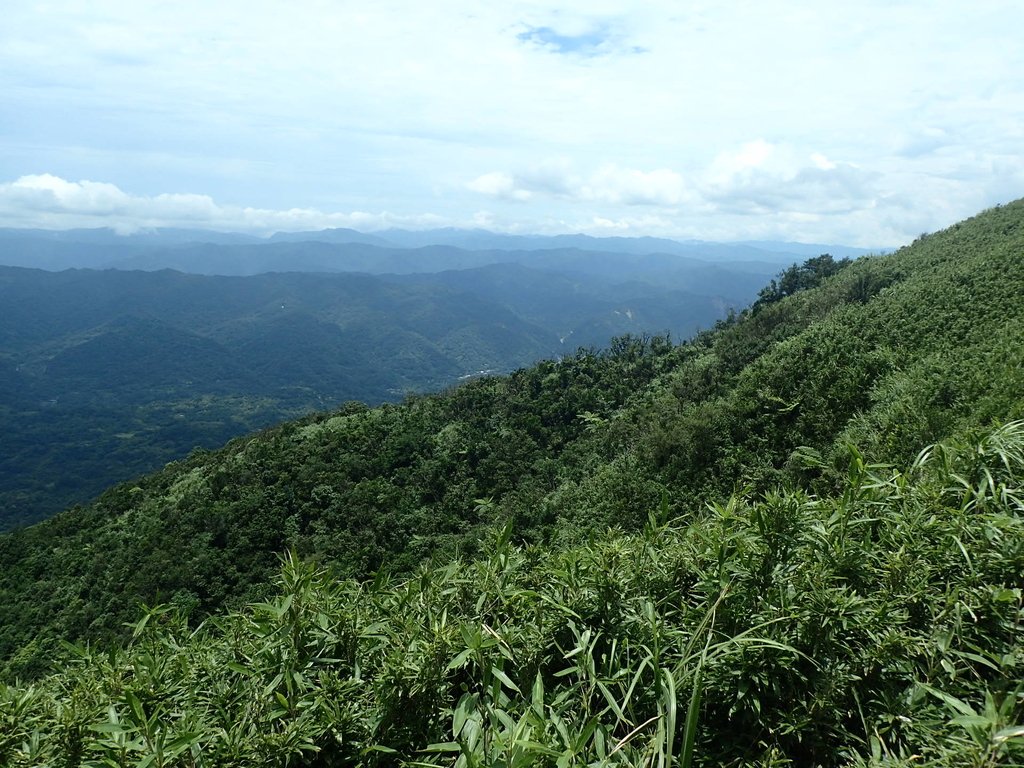 P7203860.JPG - 瑞芳  五分山登山步道