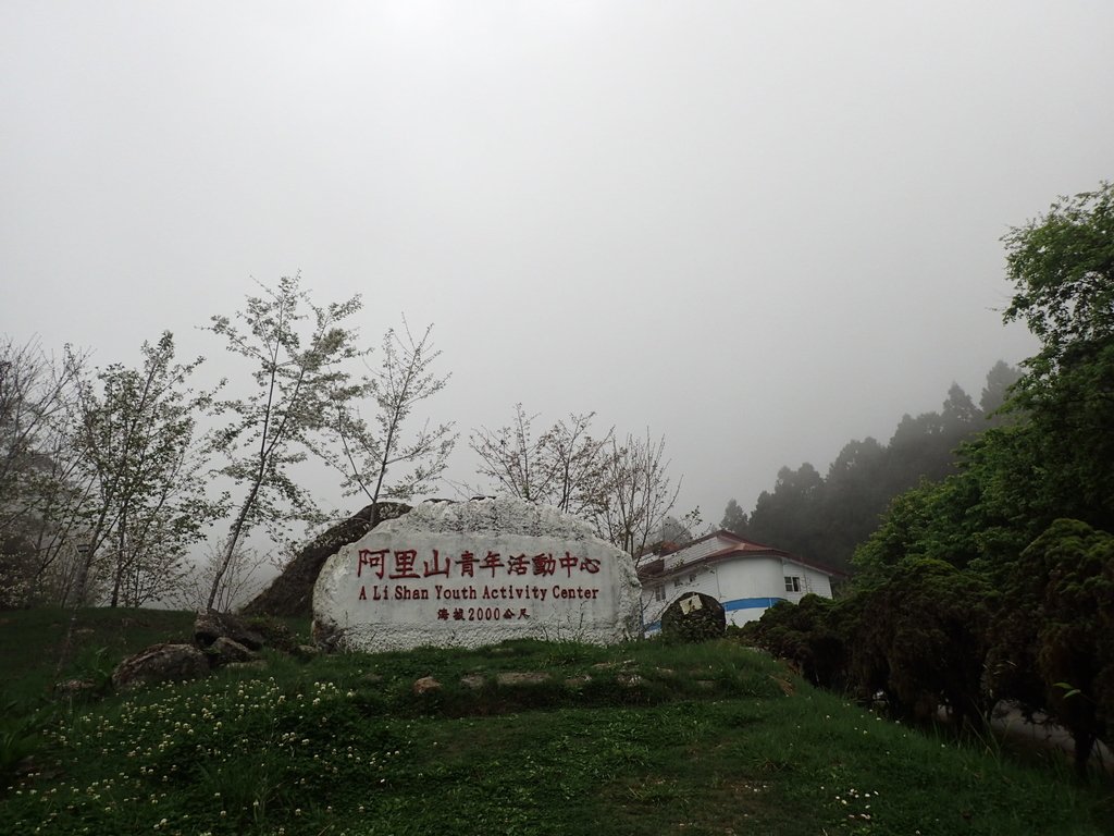 P3257995.JPG - 阿里山  二萬坪步道