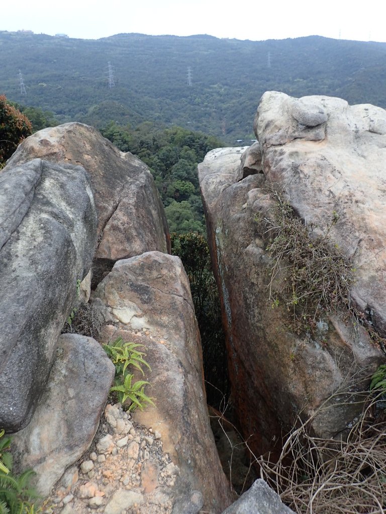 P3160154.JPG - 汐止  金面山(金明山)  稜線步道