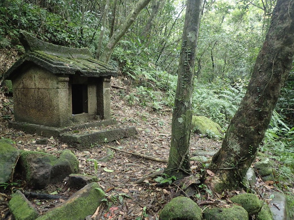 P3308238.JPG - 萬里  大路嶺古道行