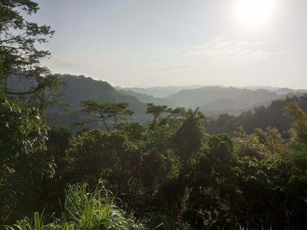 DSC_6889.JPG - 太平  酒桶山  暮色之美