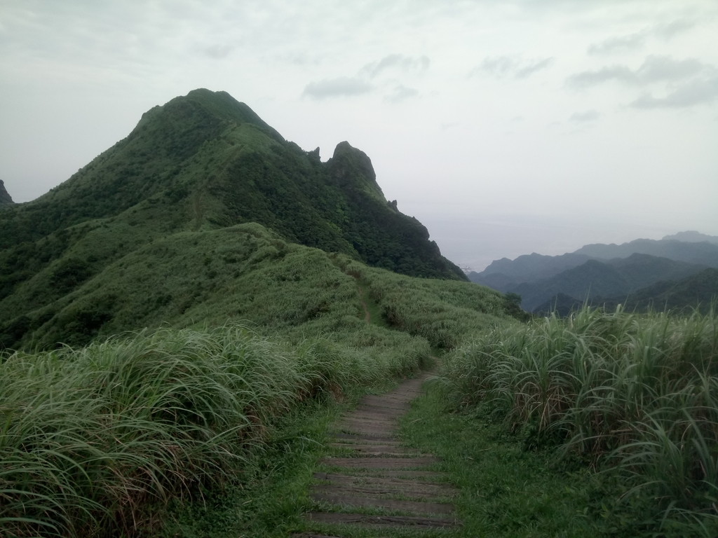 DSC_1482.JPG - 再登---  瑞芳  燦光寮山