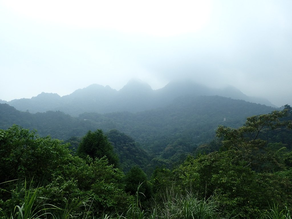 P9108365.JPG - 新竹  五指山登山步道