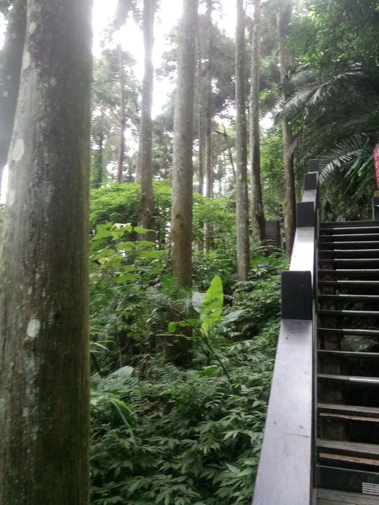 DSC_1059.JPG - 新竹  五指山登山步道