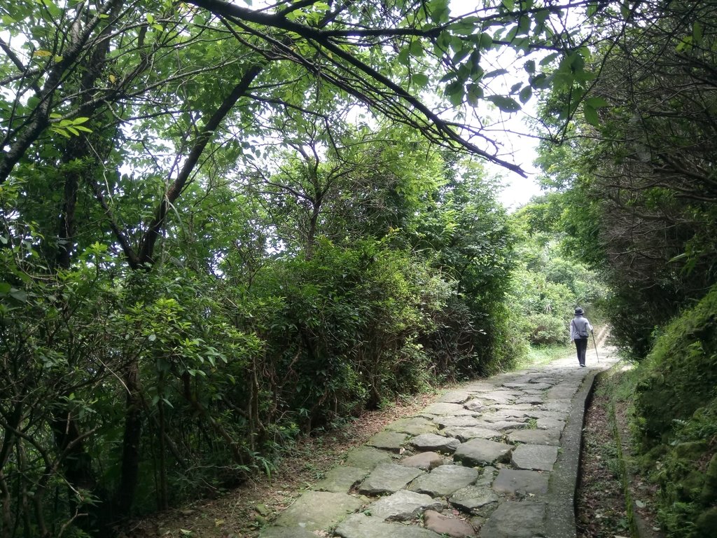 DSC_0809.JPG - 瑞芳  雞籠山登山步道