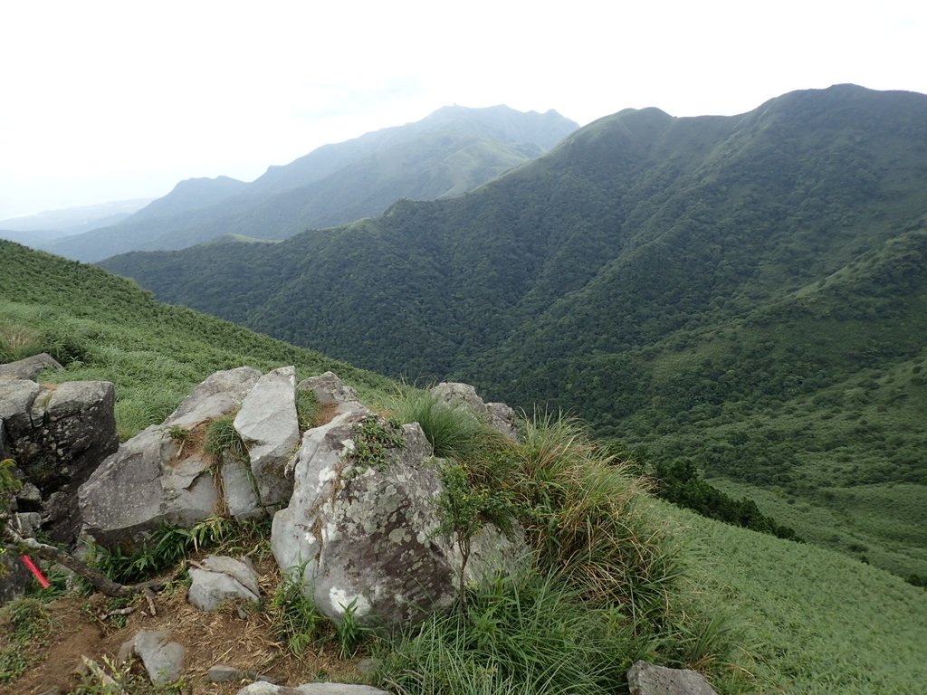 P7165517.JPG - 小觀音山  西峰登山步道