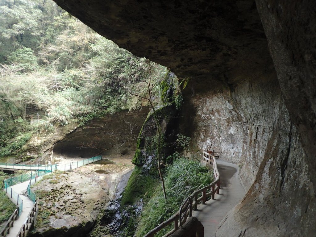 P2056657.JPG - 竹山  杉林溪森林遊樂園  路過