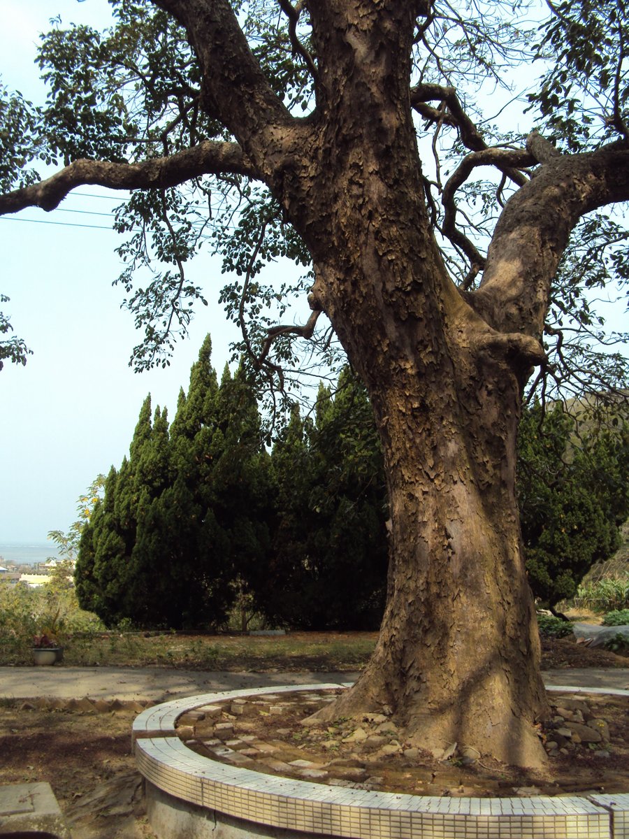 DSC01937.JPG - 新竹香山  一善寺