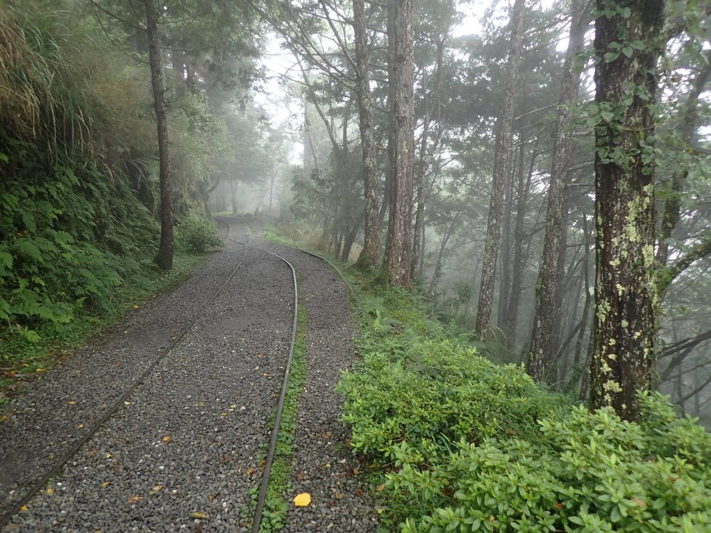 P8226778.JPG - 太平山 見晴懷古步道