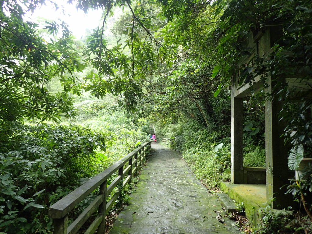 觀音山  參道紀行  (上)