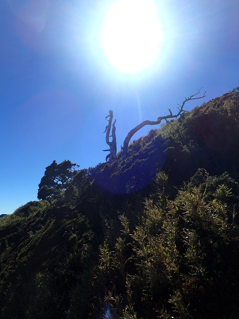 PC132111.JPG - 合歡山  東峰