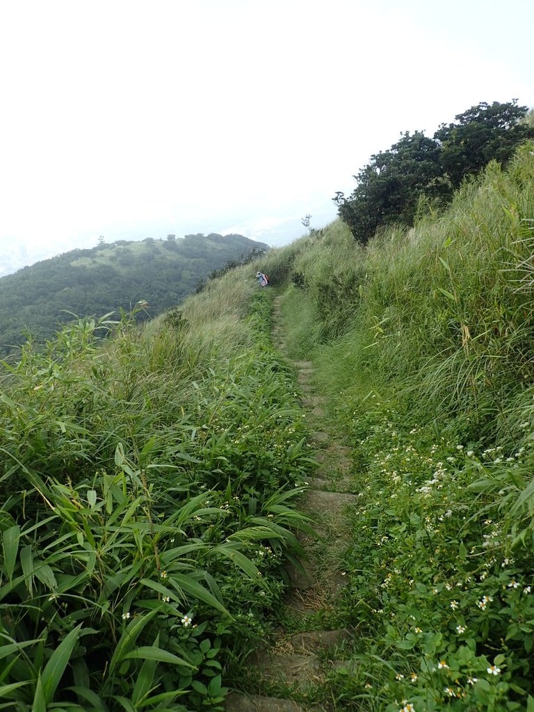 P9238255.JPG - 北投  面天山  向天湖步道