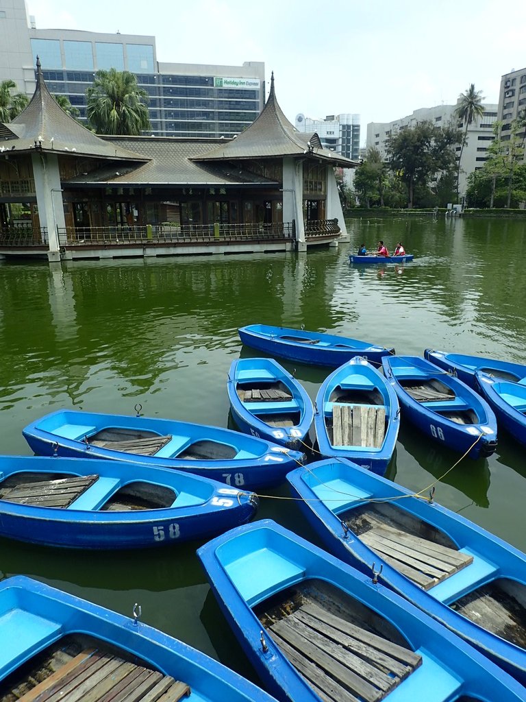 P4225077.JPG - 散步  台中公園一隅