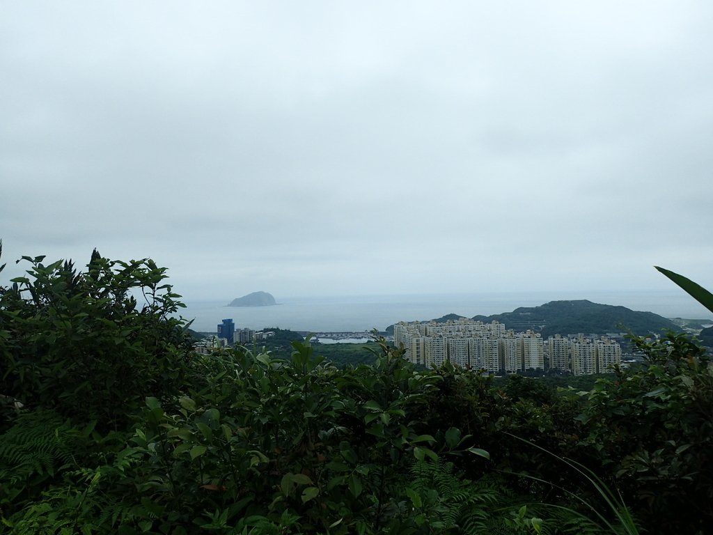 P4143566.JPG - 基隆  五坑山  總督嶺步道