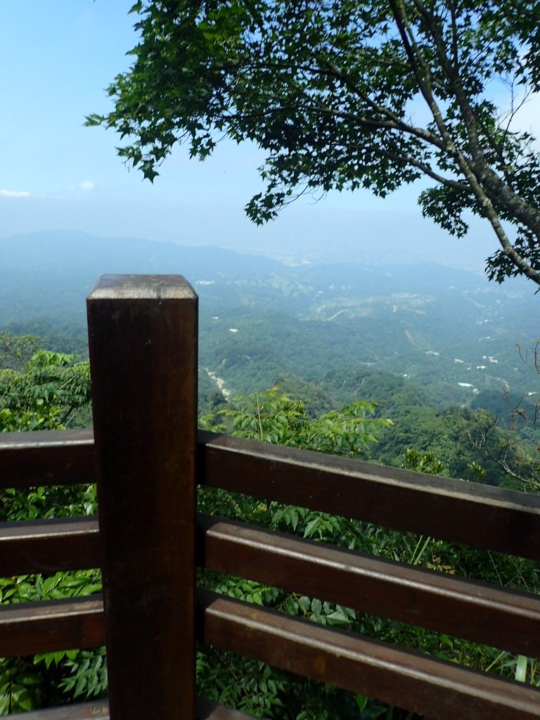 P5117170.JPG - 大坑四號步道  頭嵙山