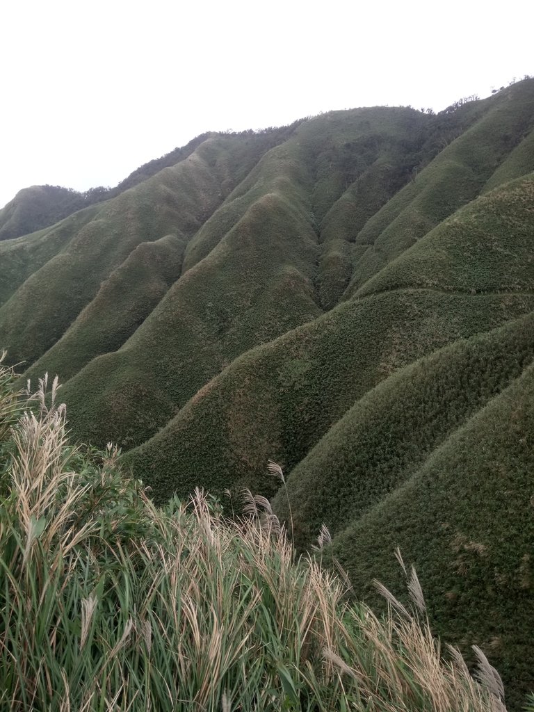 DSC_2824.JPG - 礁溪  聖母登山步道  (抹茶山)