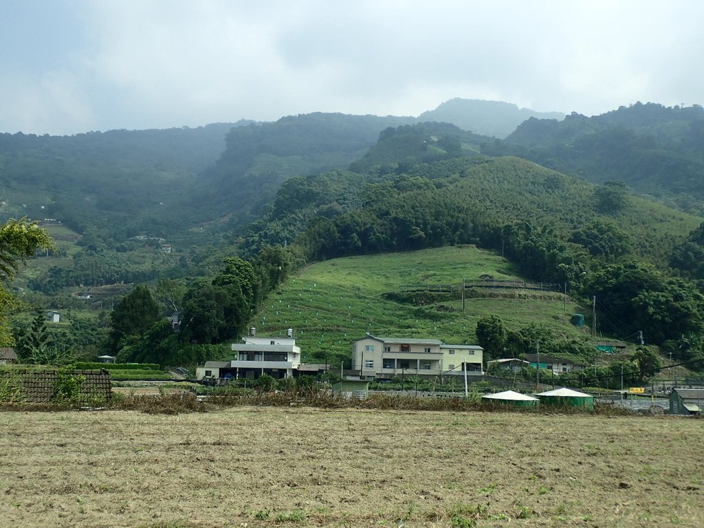 PA064500.JPG - 大湖  馬那邦山  (03)