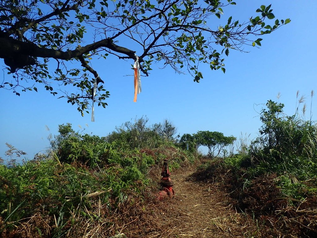 PB179539.JPG - 基隆  球子山(火號山)步道