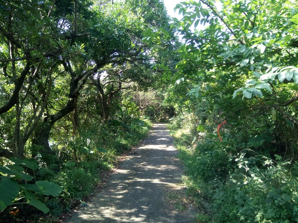 DSC_3059.JPG - 基隆  球子山(火號山)步道