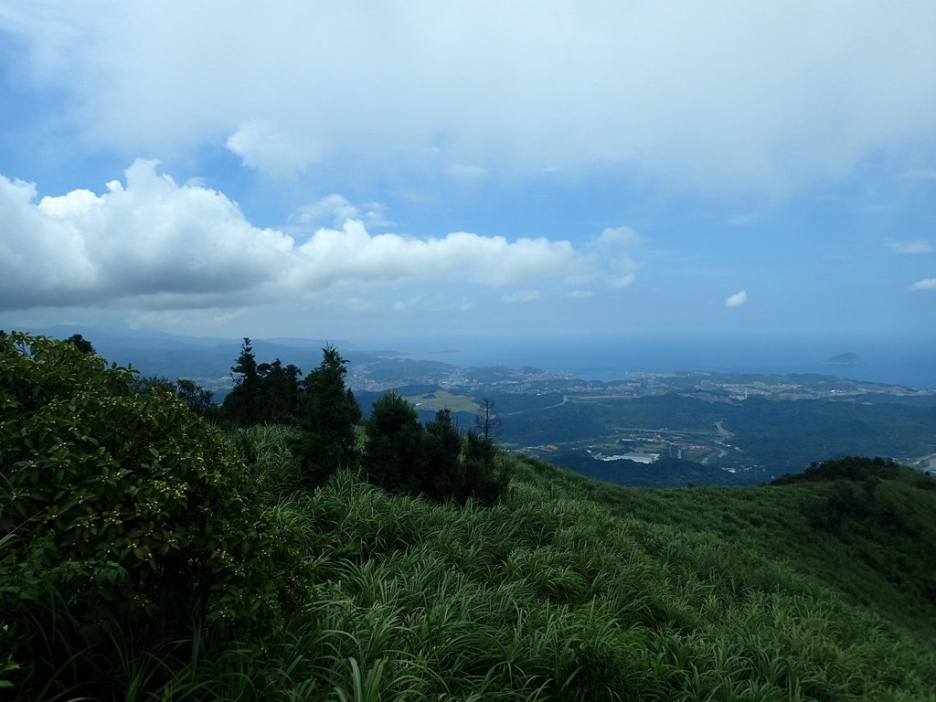 P7203862.JPG - 瑞芳  五分山登山步道