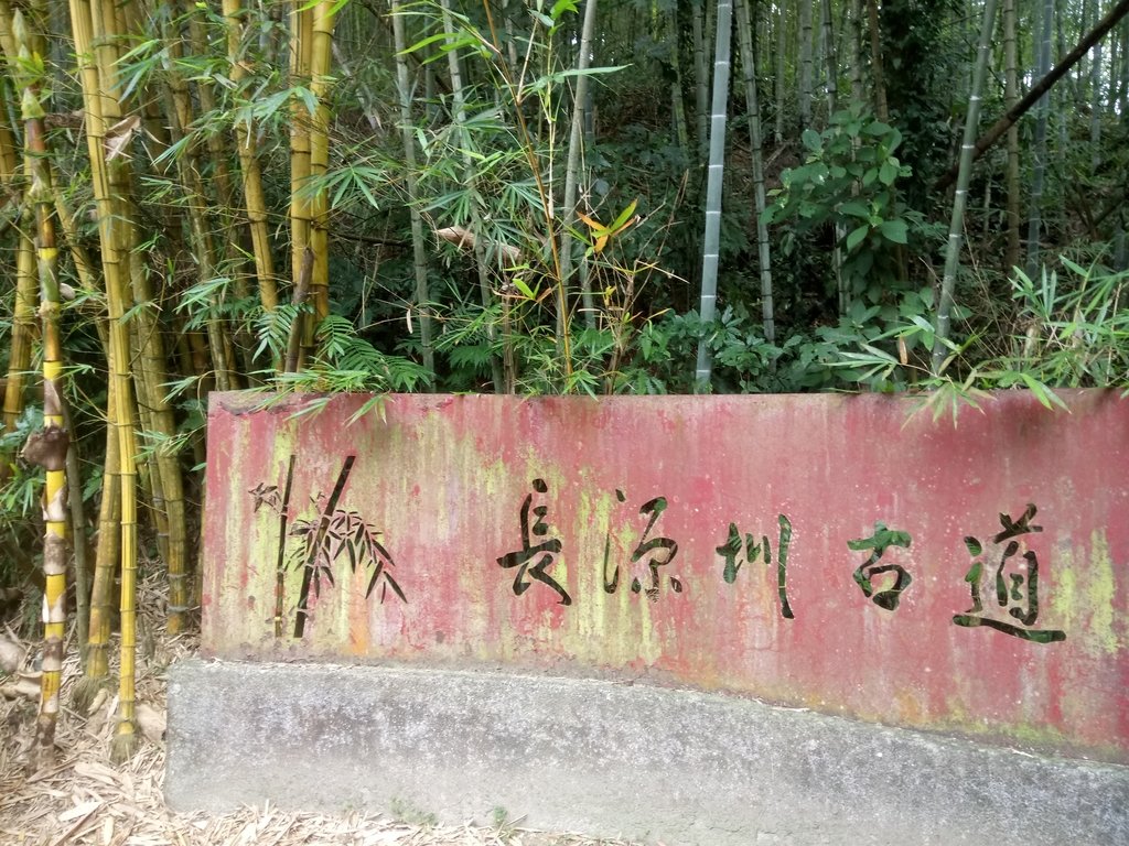 DSC_0552.JPG - 鹿谷  長源圳古道