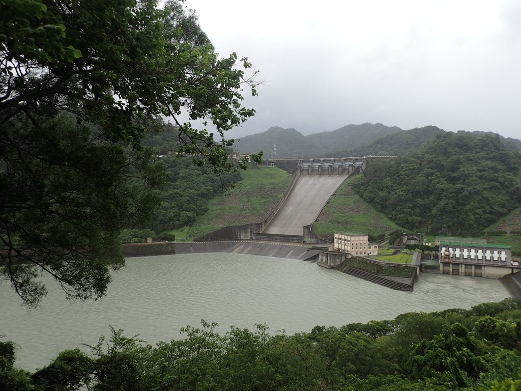 P8247012.JPG - 雨中漫遊  石門水庫