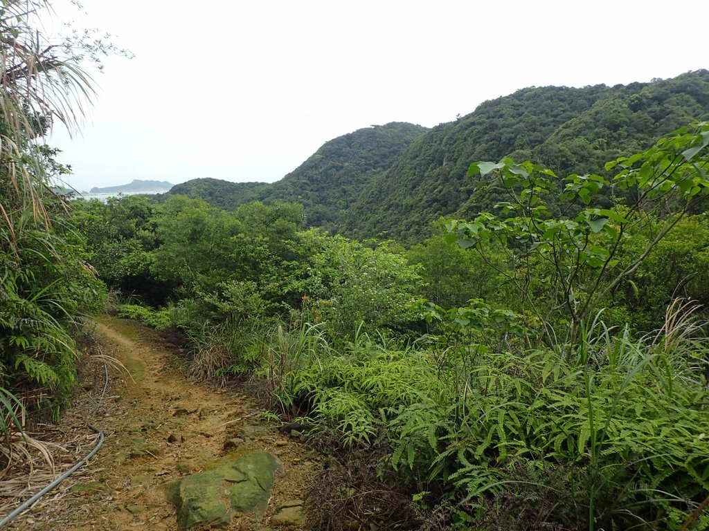 P3308245.JPG - 萬里  大路嶺古道行