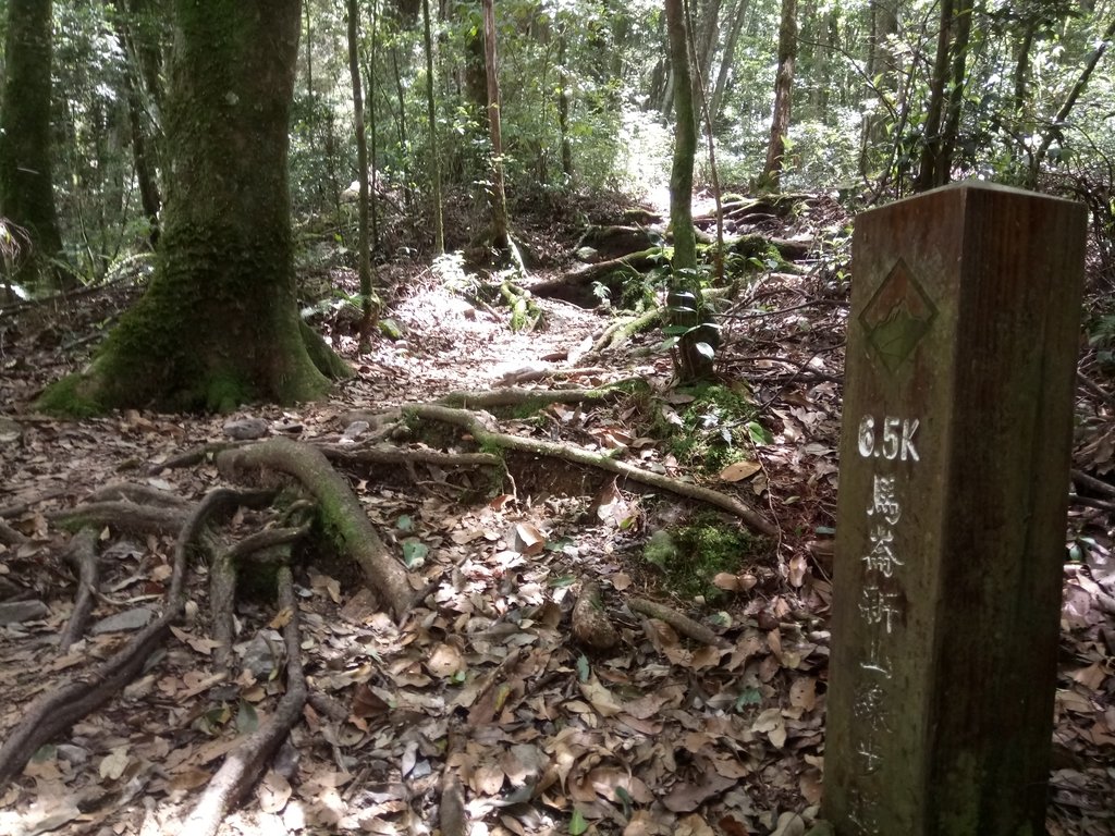 DSC_9963.JPG - 谷關七雄之  馬崙山  (下)