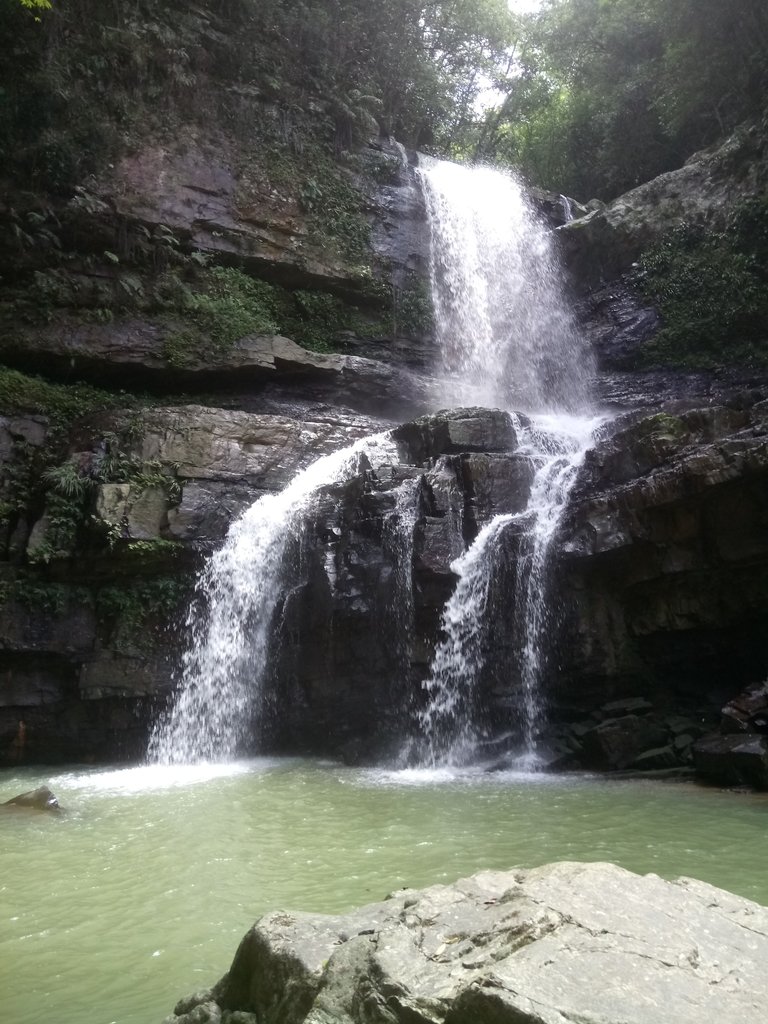 DSC_2649.JPG - 魚池  澀水森林步道  水上瀑布