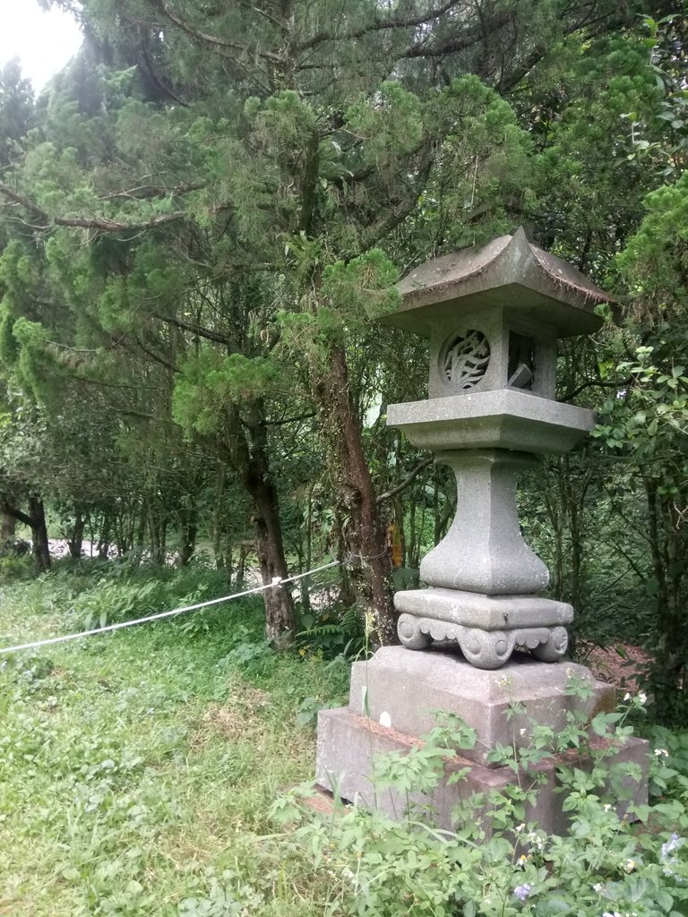 DSC_1072.JPG - 新竹  五指山登山步道