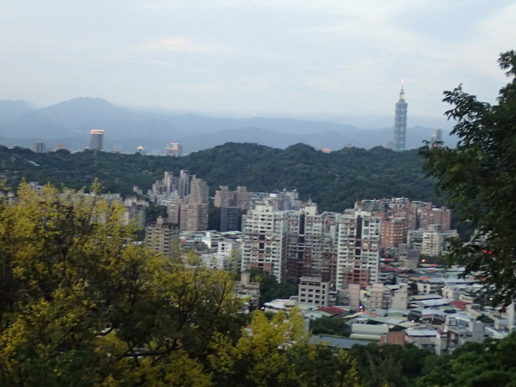 P9230065.JPG - 景美  仙跡岩親山步道