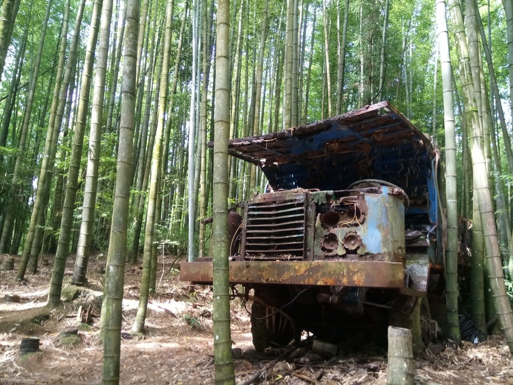 DSC_5229.JPG - 台中和平  長壽山登山步道  (中)