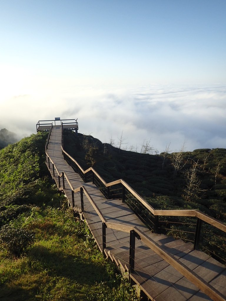 P1076382.JPG - 鹿谷  大崙山觀光茶園  (02)