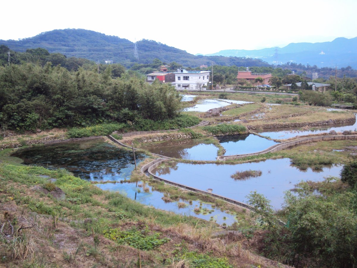 DSC09053.JPG - 金山  葵扇湖田野風光(二) 