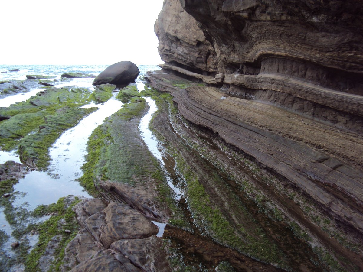 DSC06337.JPG - 瑞芳  南雅海岸岩石之美