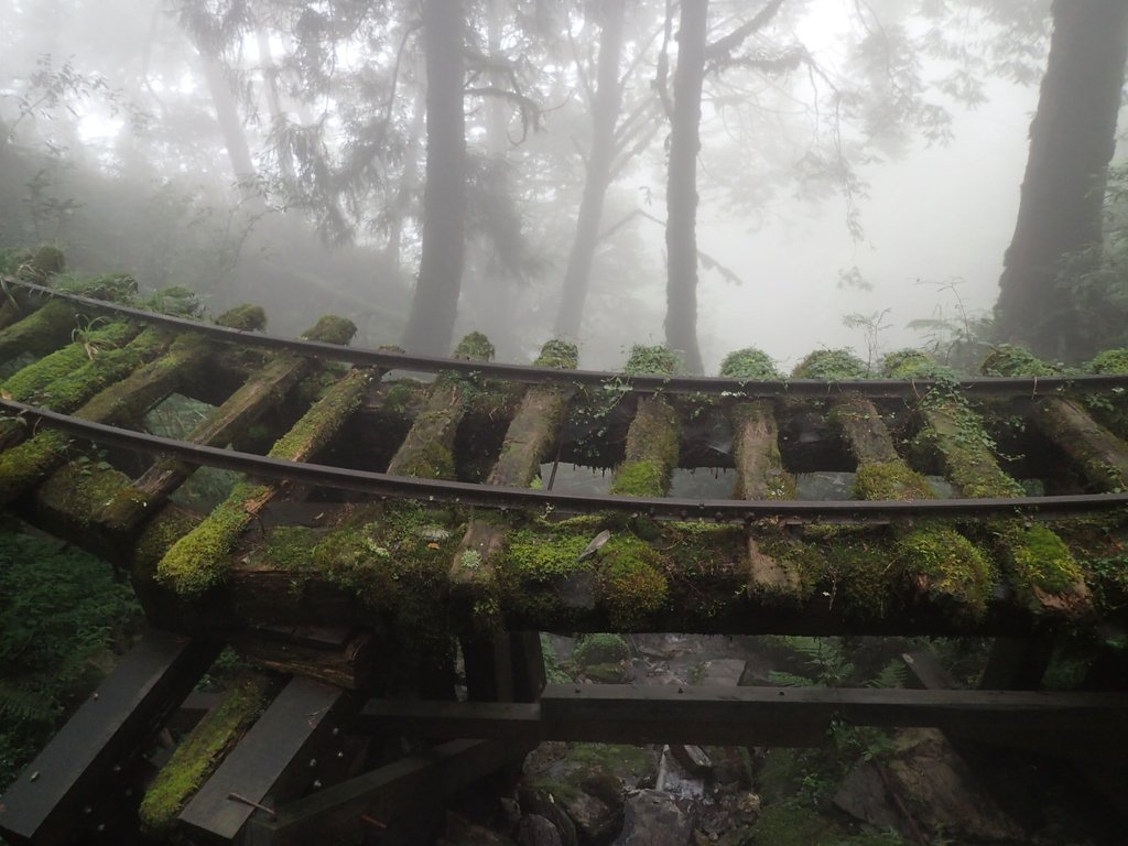 P8226804.JPG - 太平山 見晴懷古步道