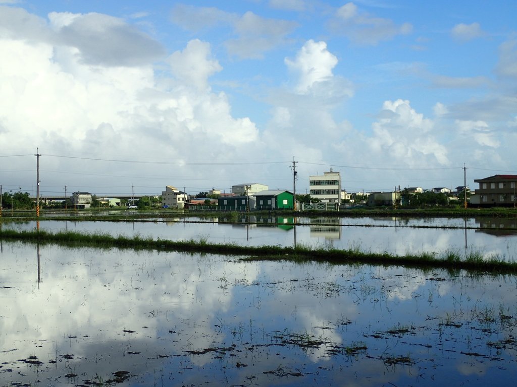 PA104177.JPG - 壯圍  竹安  水田雲影