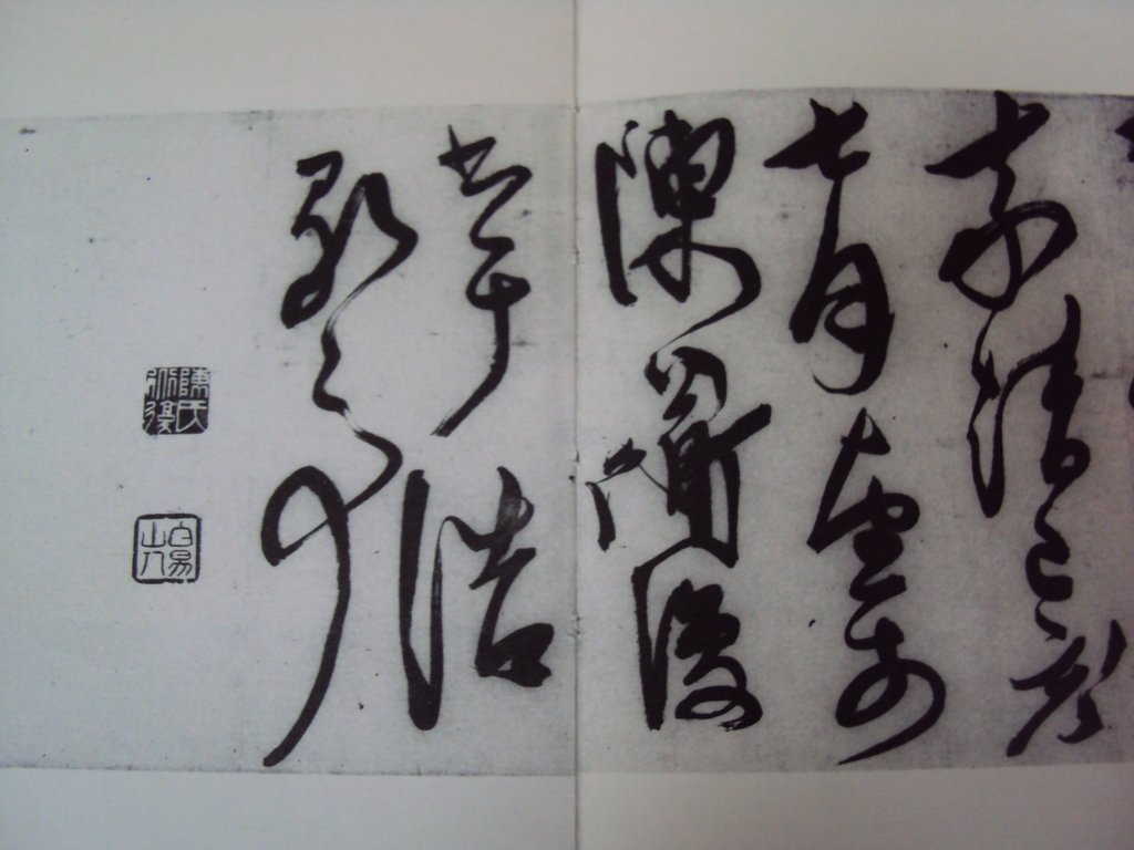 DSC00256.JPG - 陳淳的草書作品