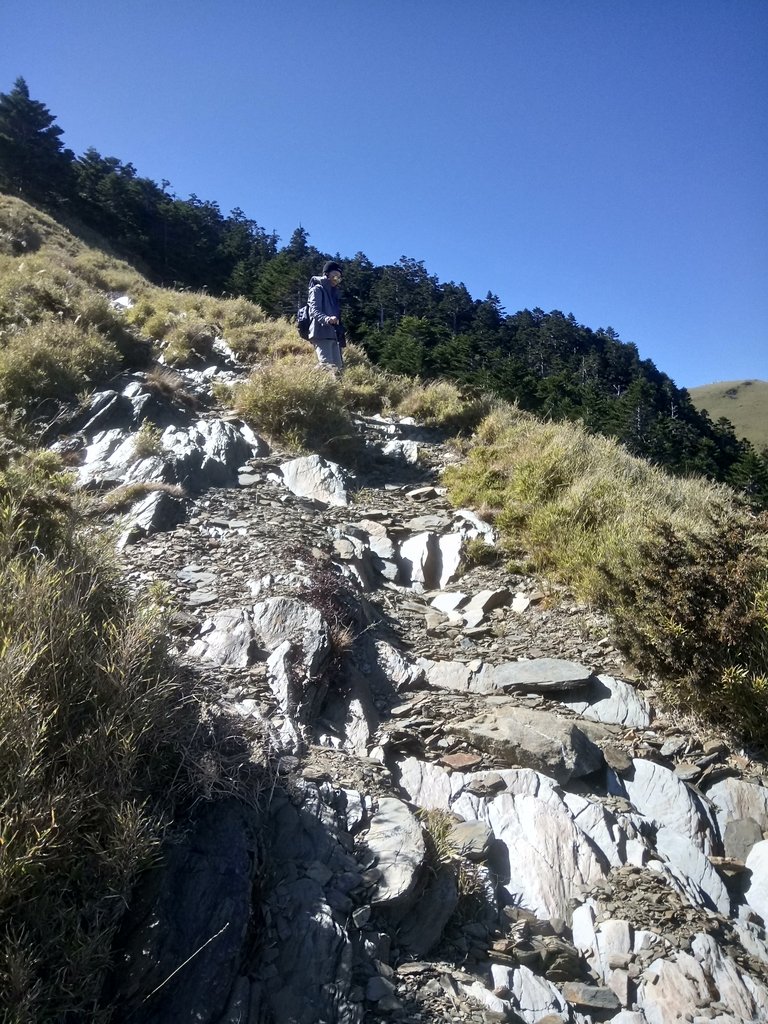 DSC_6708.JPG - 合歡山  東峰